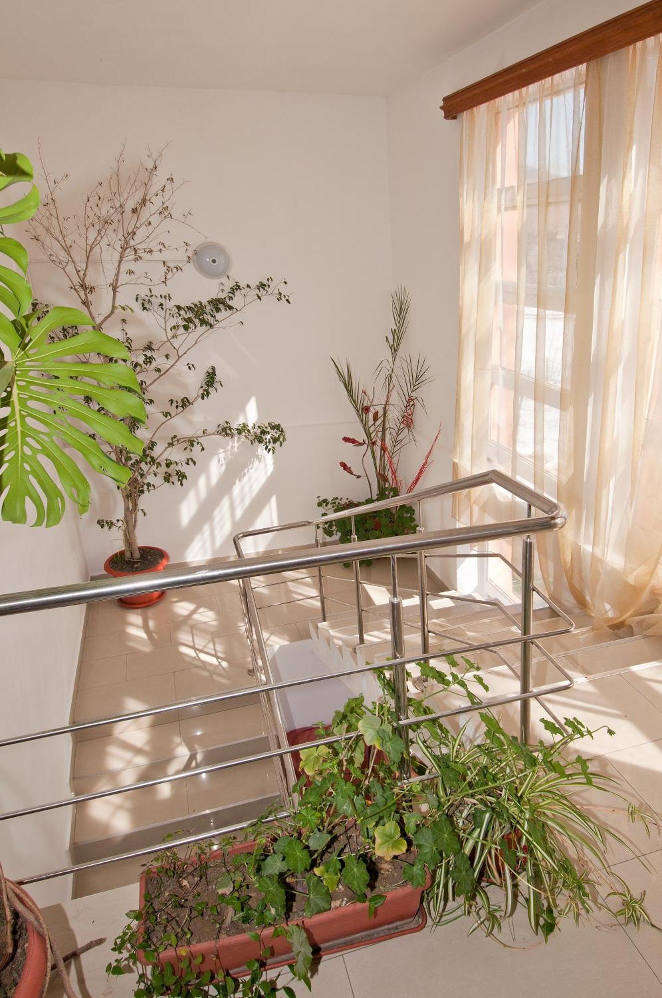 Pension Club Montana Къмпина Екстериор снимка