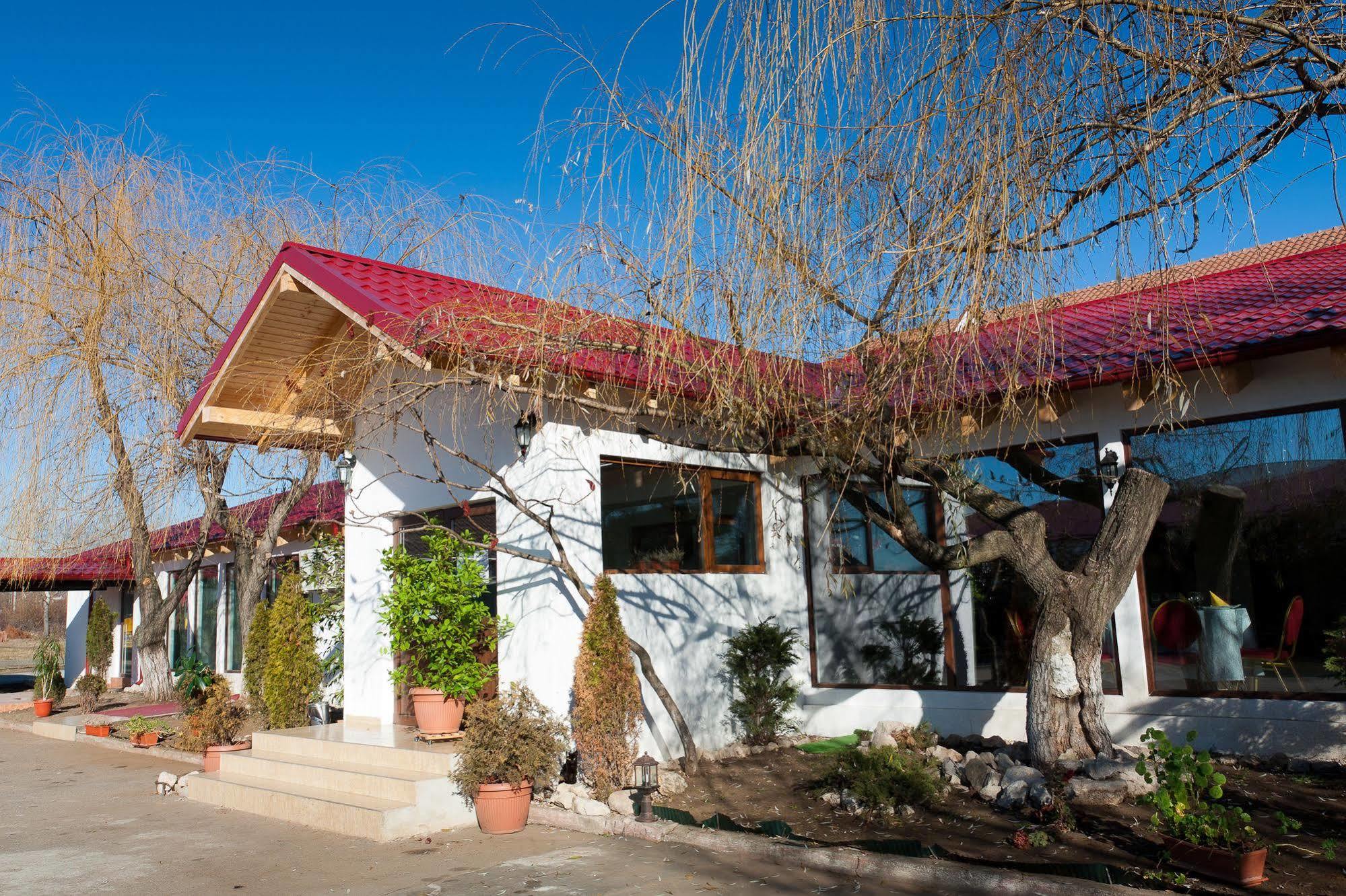 Pension Club Montana Къмпина Екстериор снимка